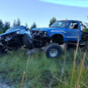 Meet your Posher, Dusti